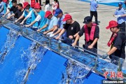 免费八字2025年全国水生生物同步增殖放流活动在福建举行
