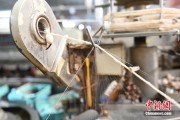 免费八字小蚕虫变身“产业龙”，广西这座小城如何实现“破茧重生”？